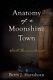 Anatomy Of A Moonshine Town Still, Hartshorn, Bett